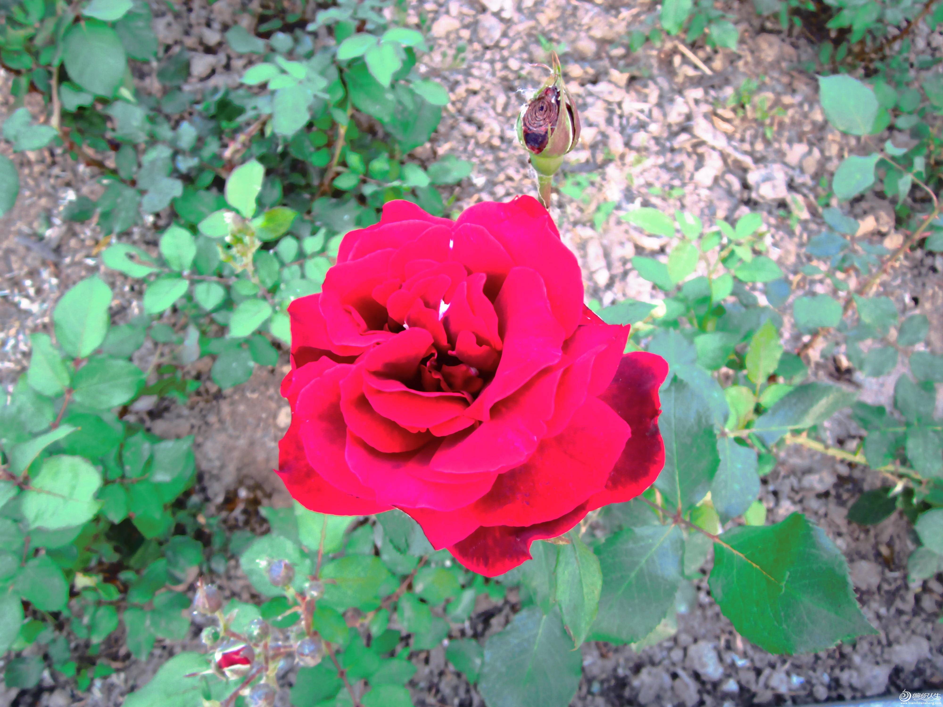 2015.5.15 002.jpg