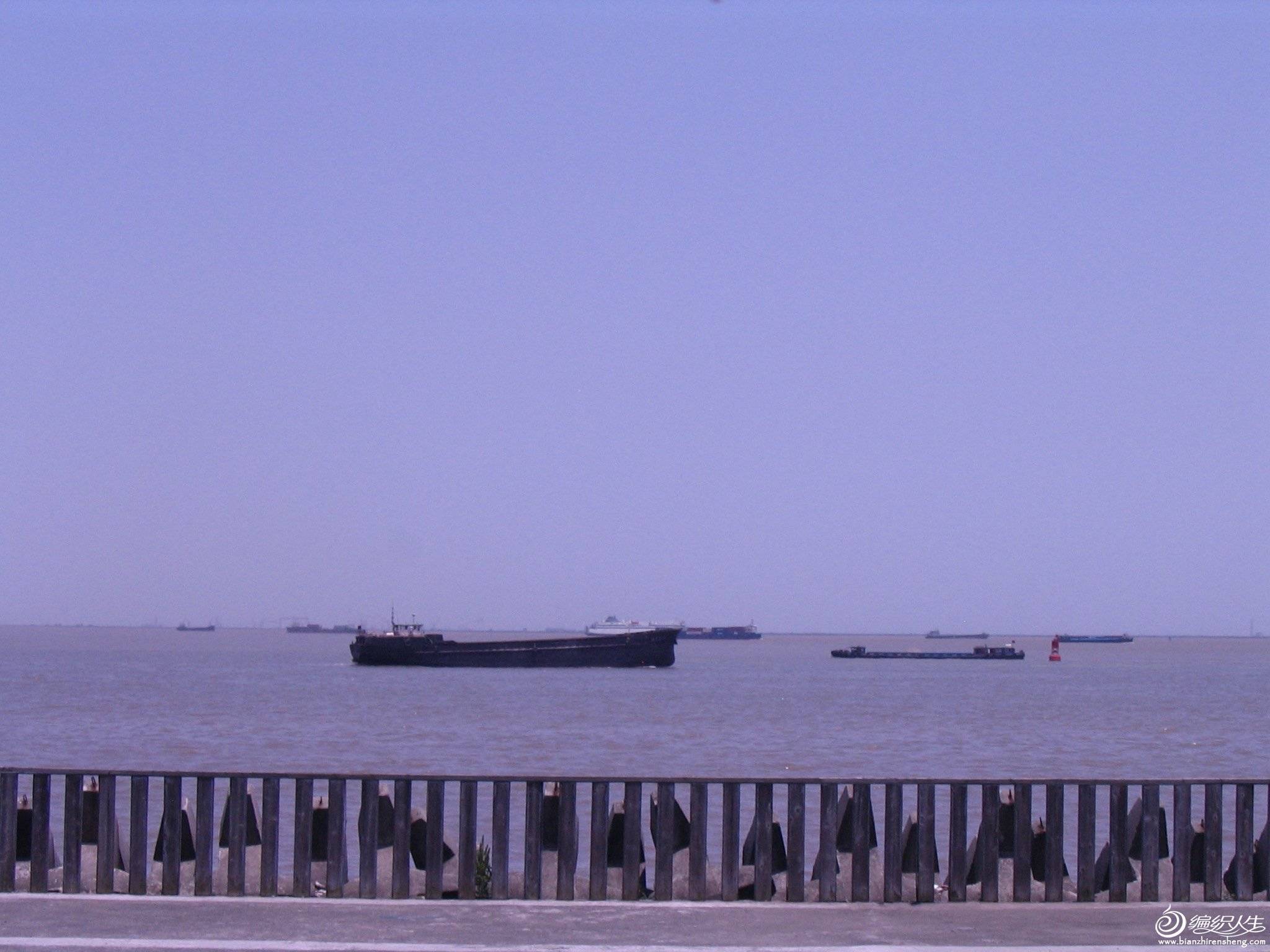 111.JPG