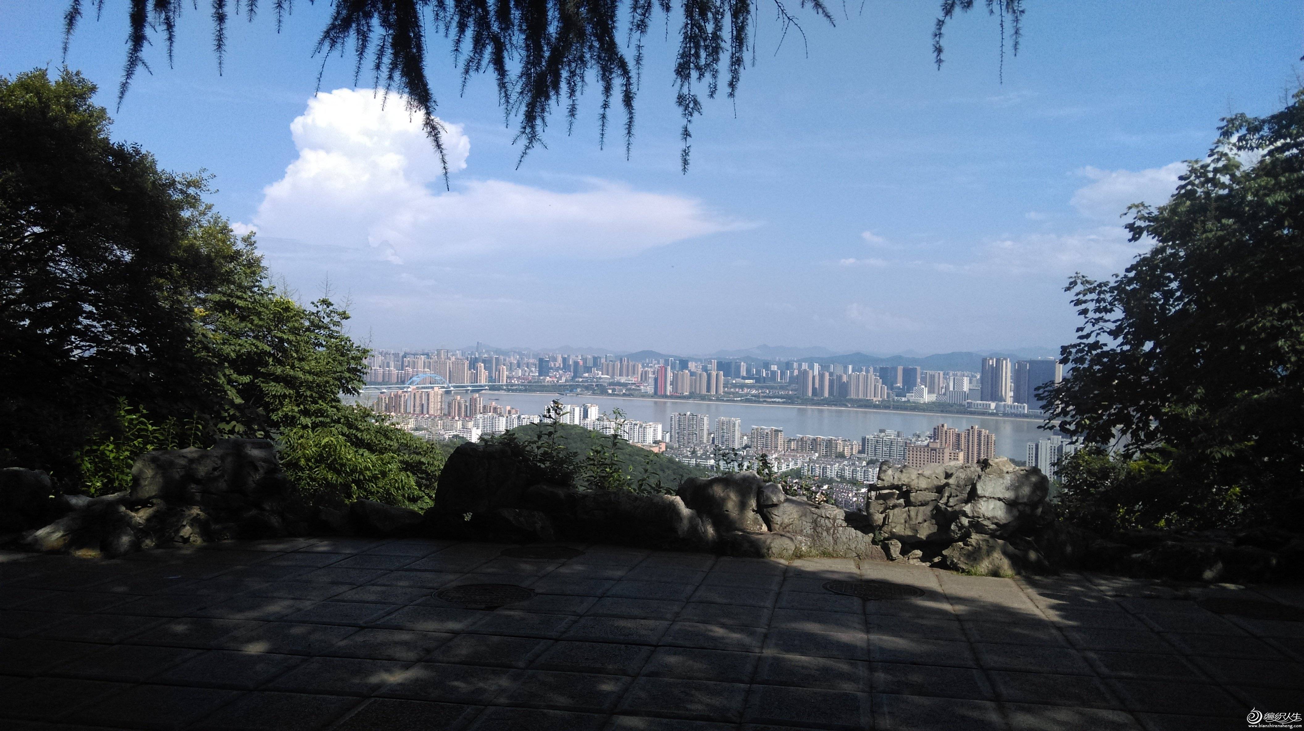 IMAG0057.jpg