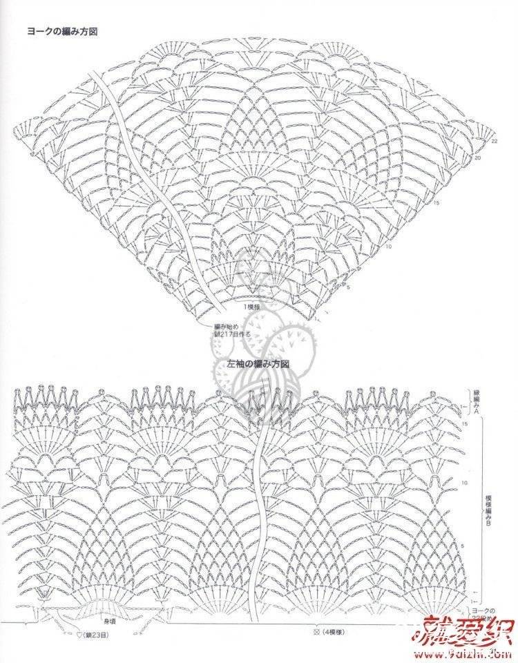 6608566260237108022.jpg