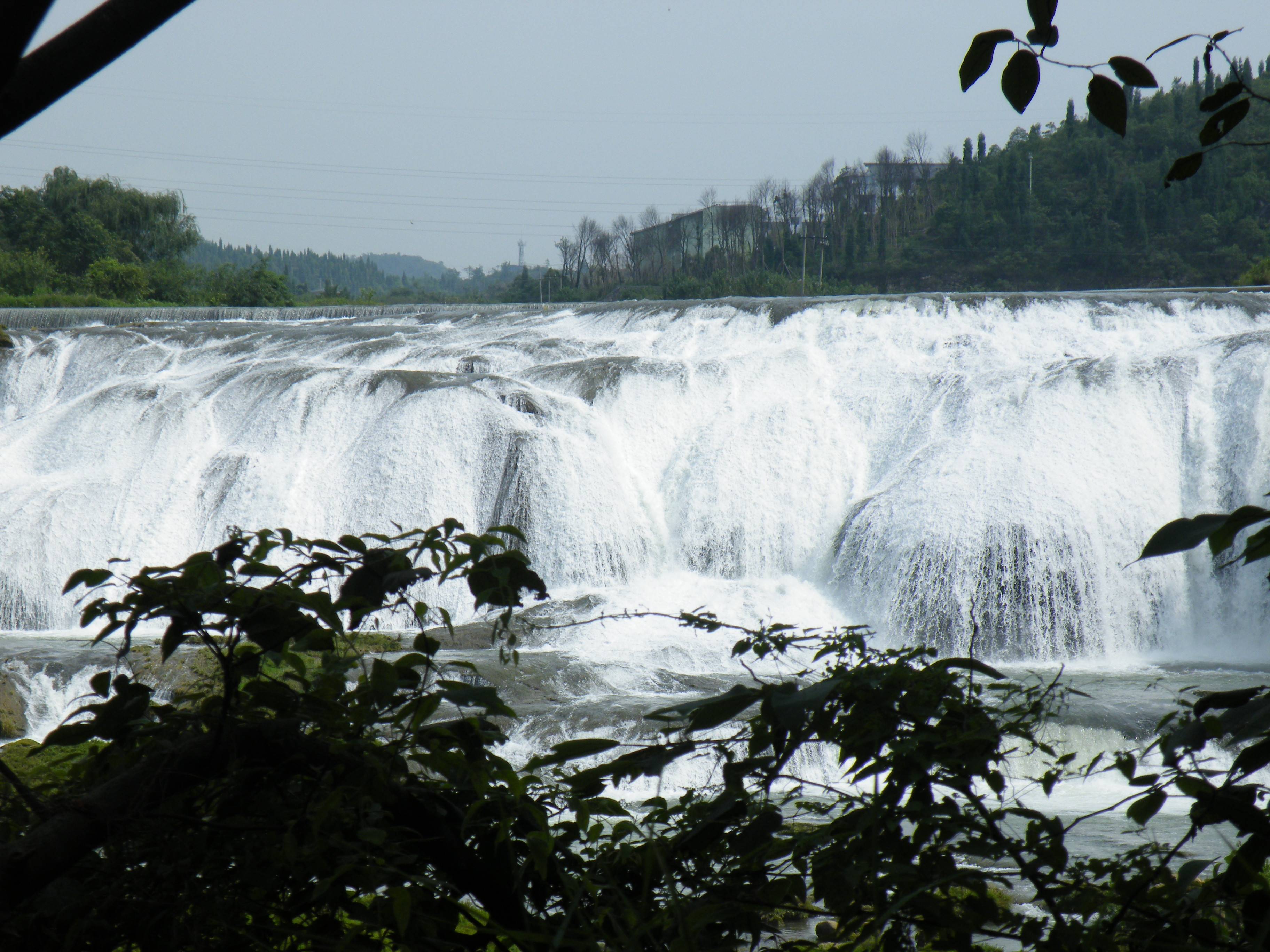 DSCF0392.JPG