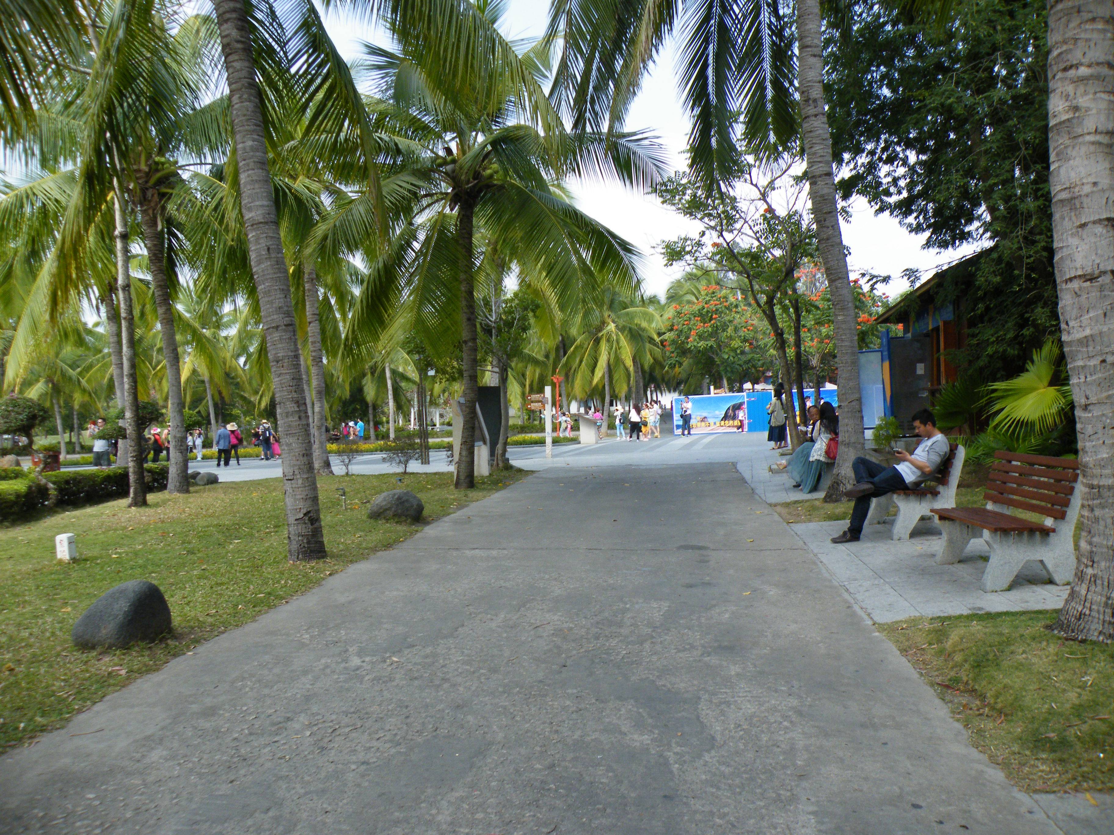 DSCF9863.JPG