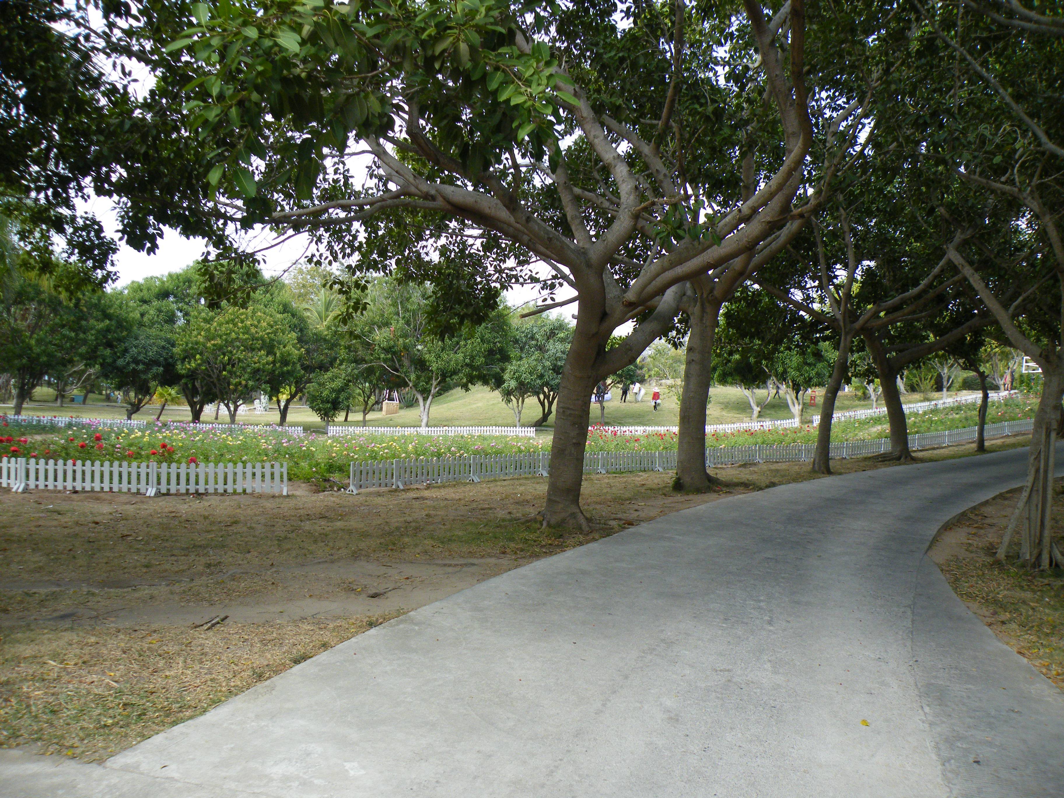 DSCF9866.JPG