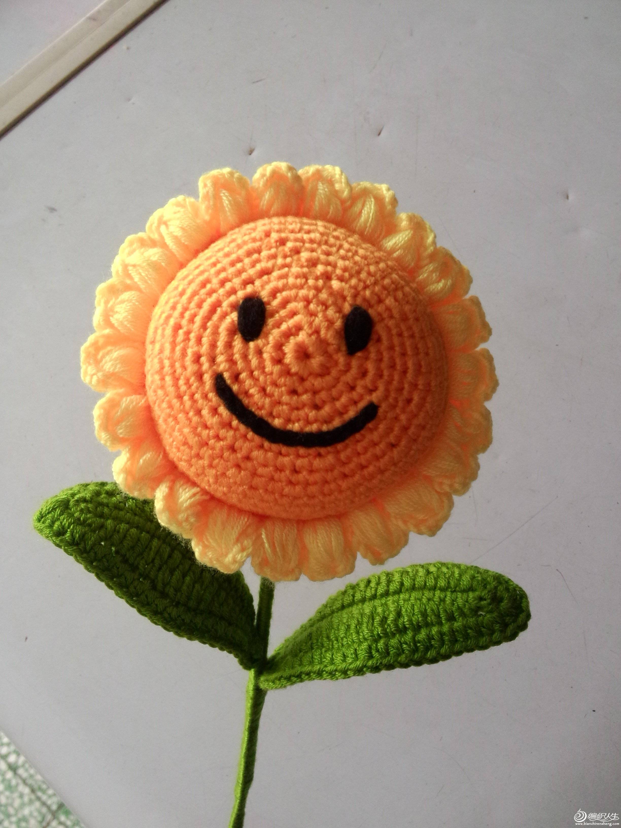 IMG20150829105205.jpg
