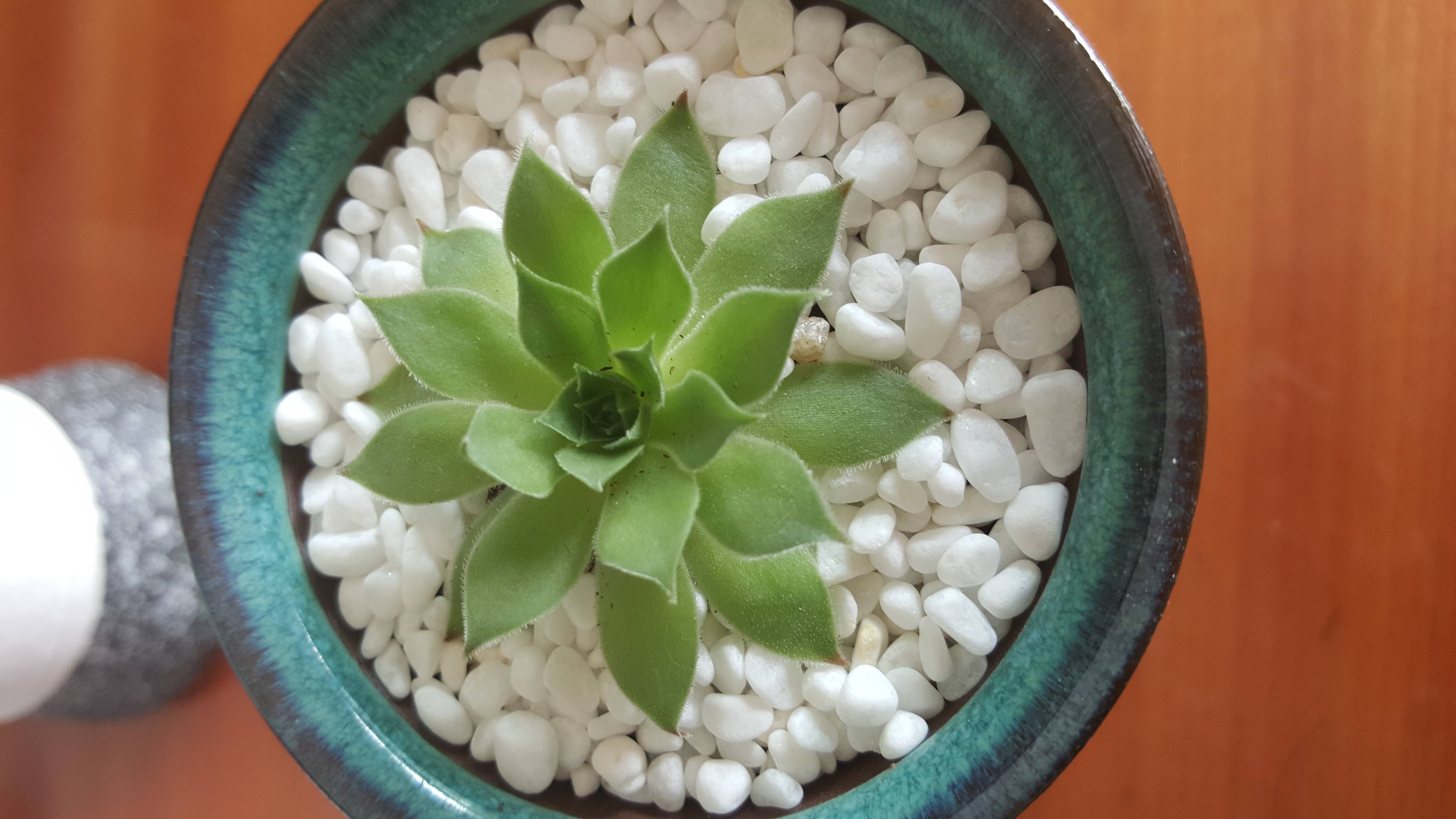 20150906_142000.jpg