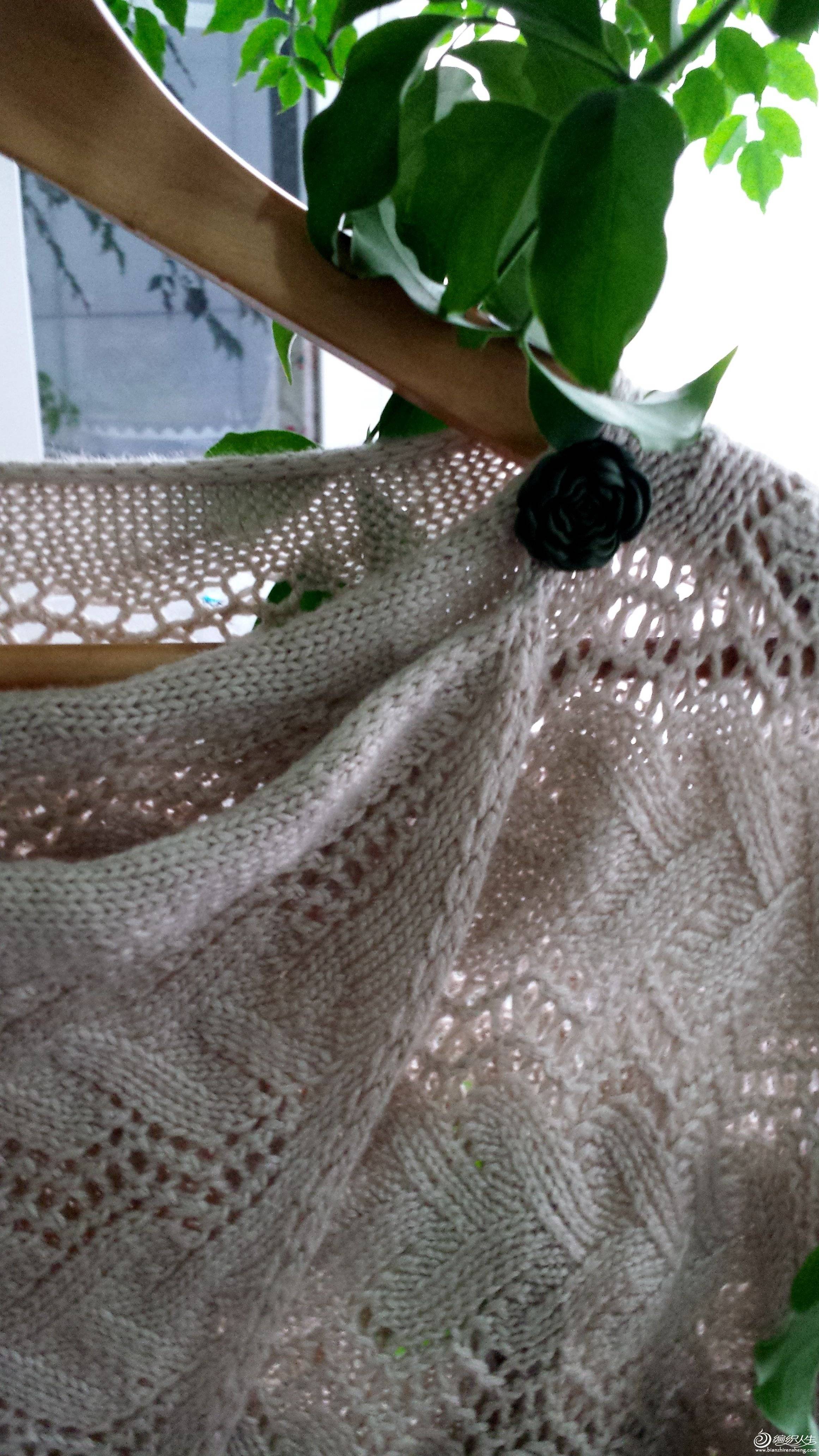 20150915_120828.jpg