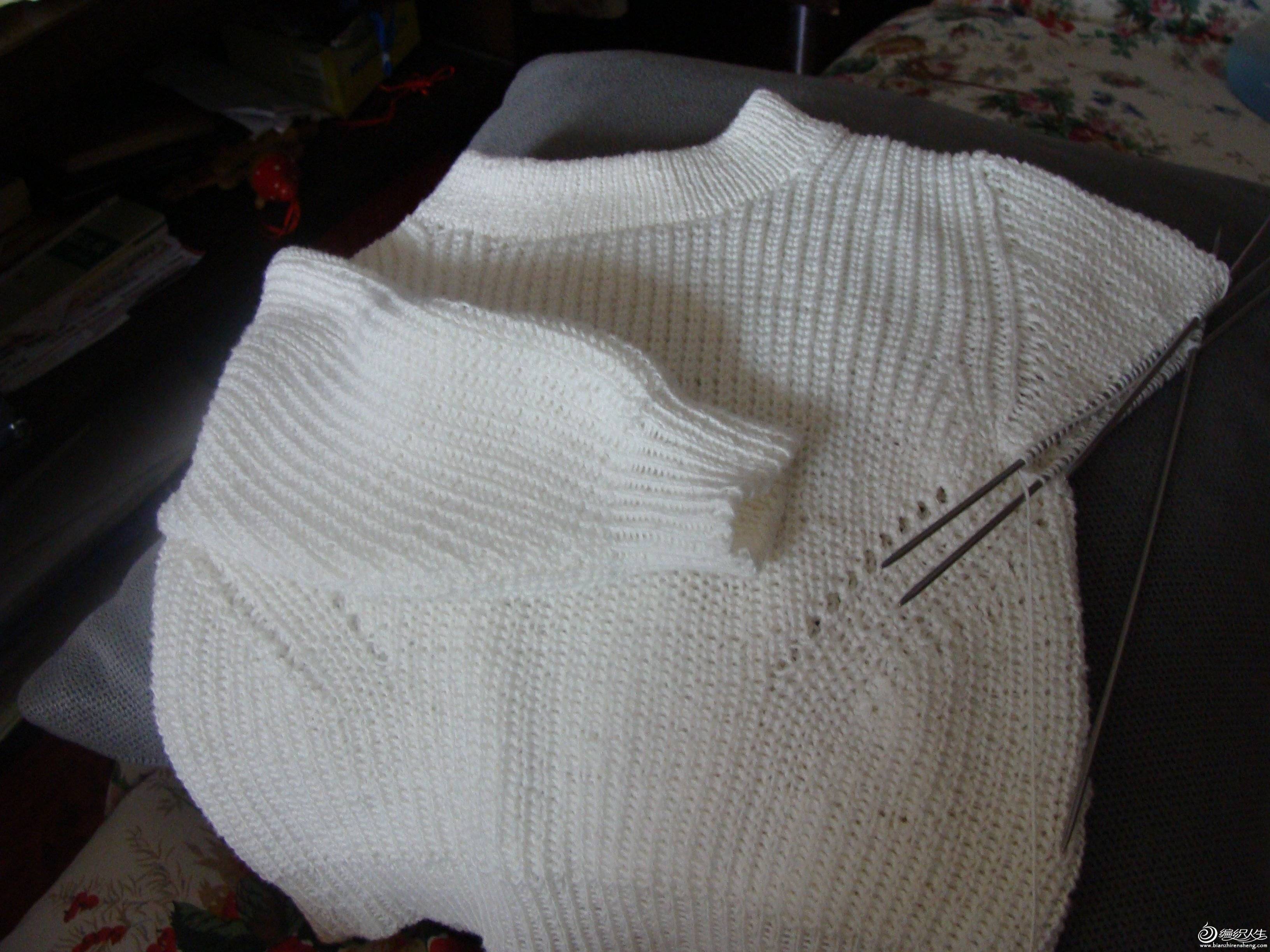 DSC08116.JPG