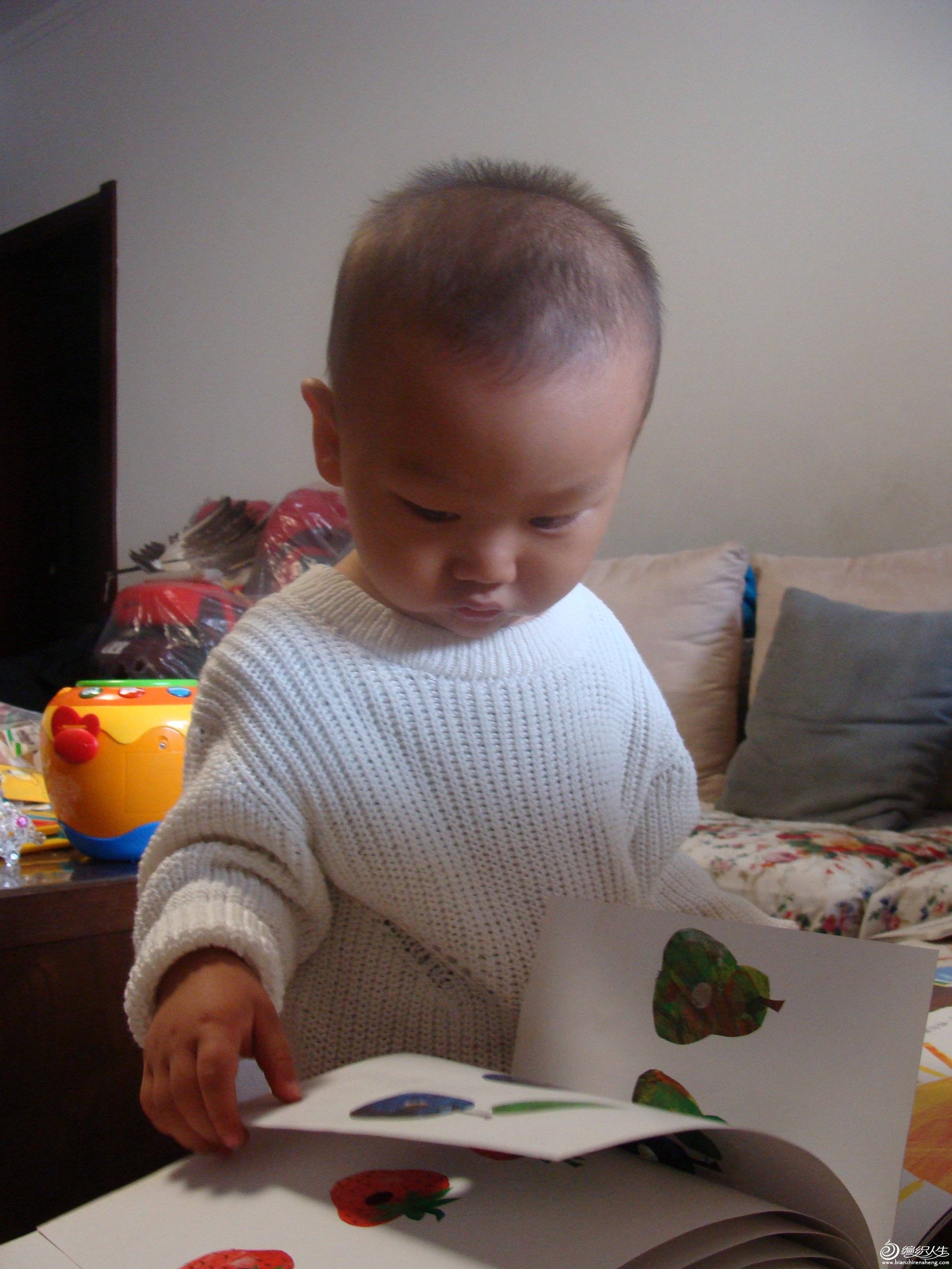DSC08239.JPG