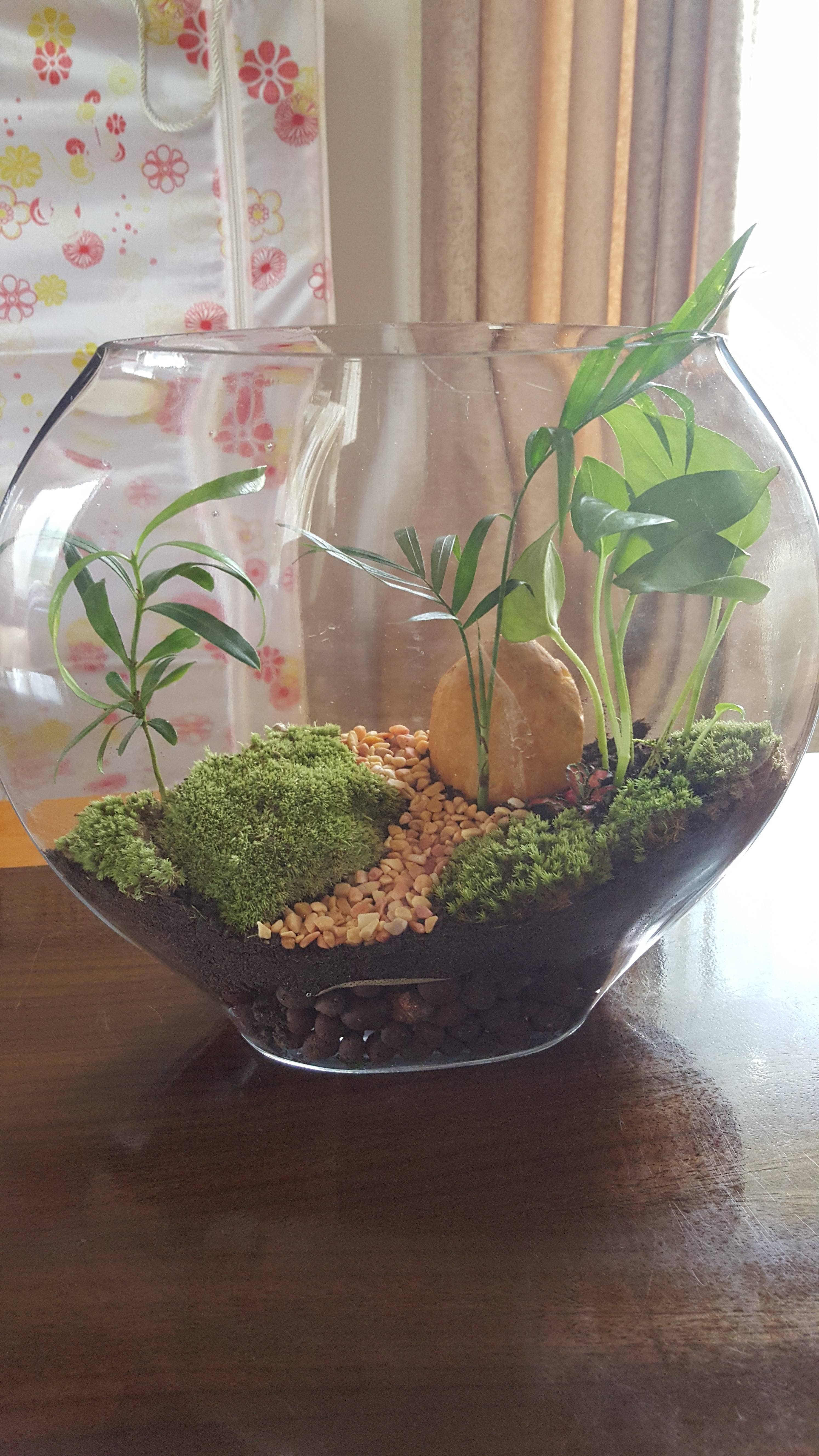 20150918_105516.jpg