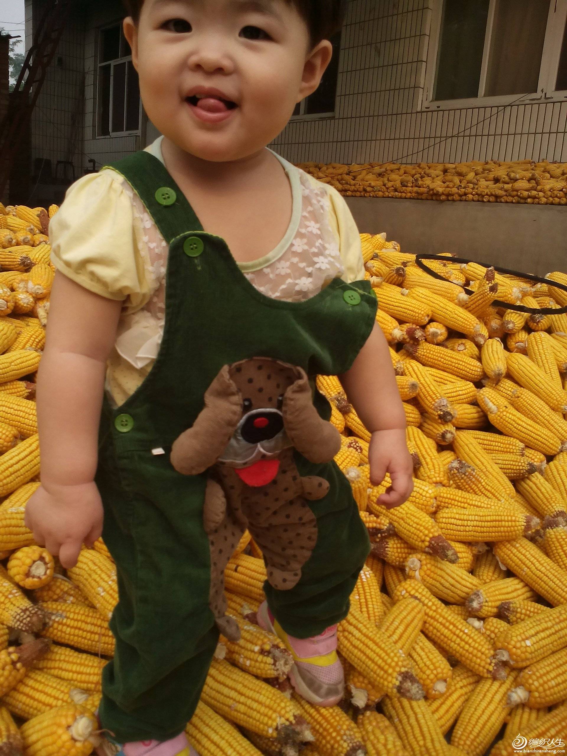IMG_20151007_091147.jpg