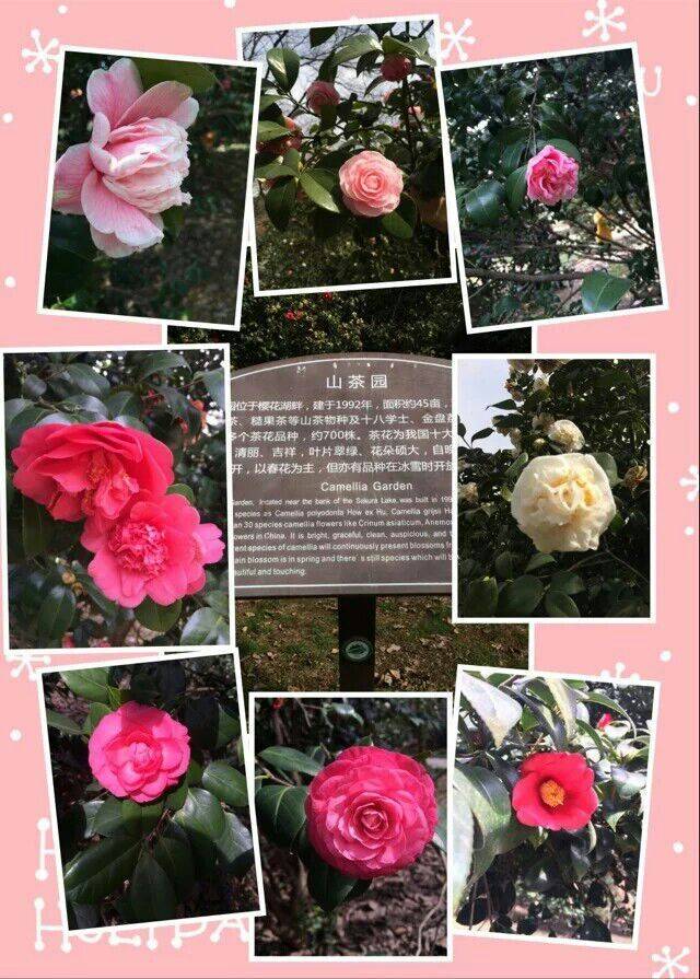 QQͼƬ20160222111920.jpg