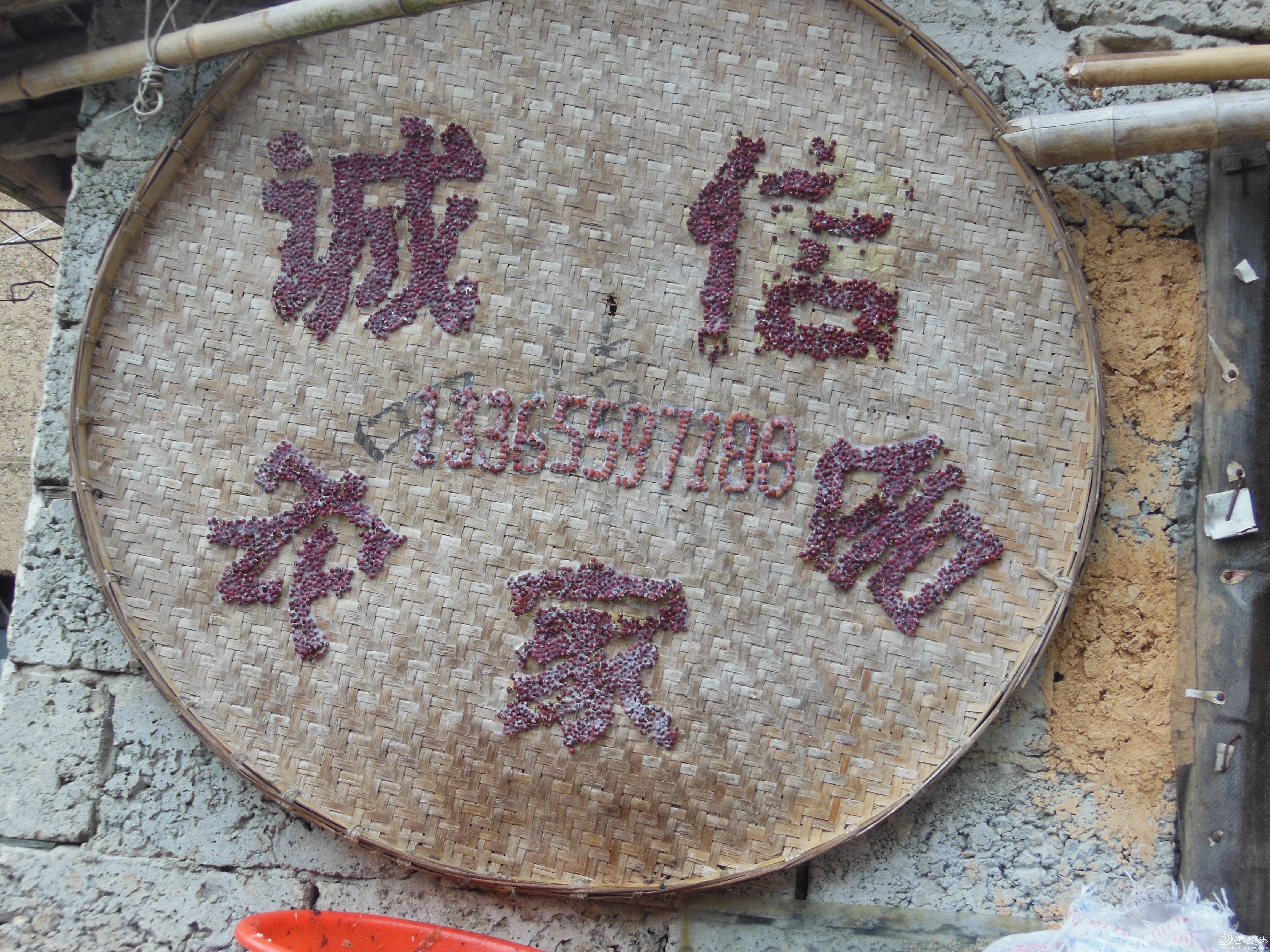 DSCN4069.JPG