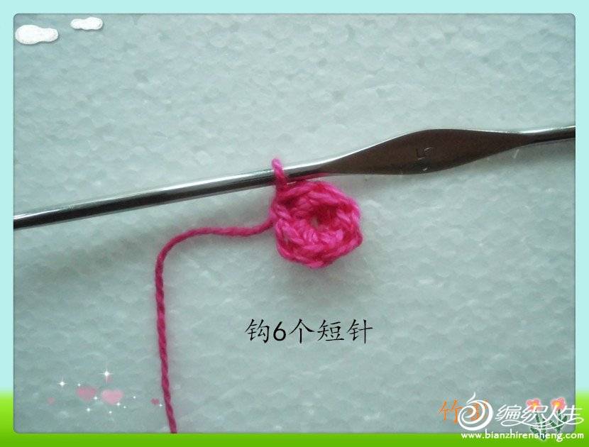 CIMG2792_.jpg