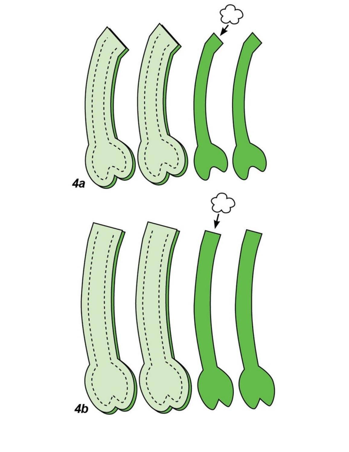 page_87.jpg