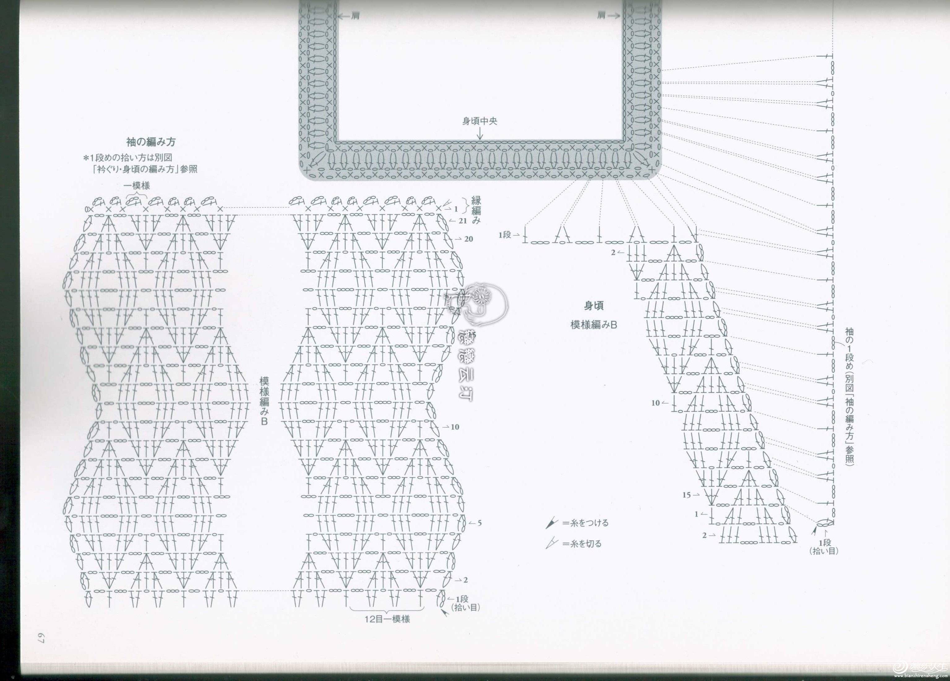 4901323769563283770.jpg