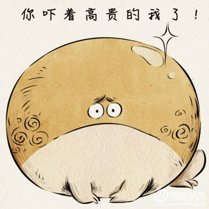QQͼƬ20160713155655.jpg