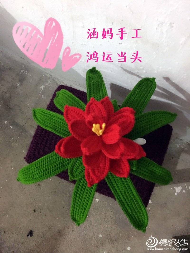 175848rjgoxiw1n11x0i2i.jpg