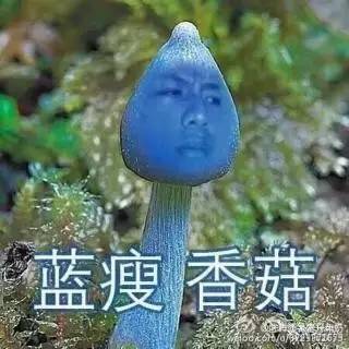162230xflmqw7977wd7vwr.jpg