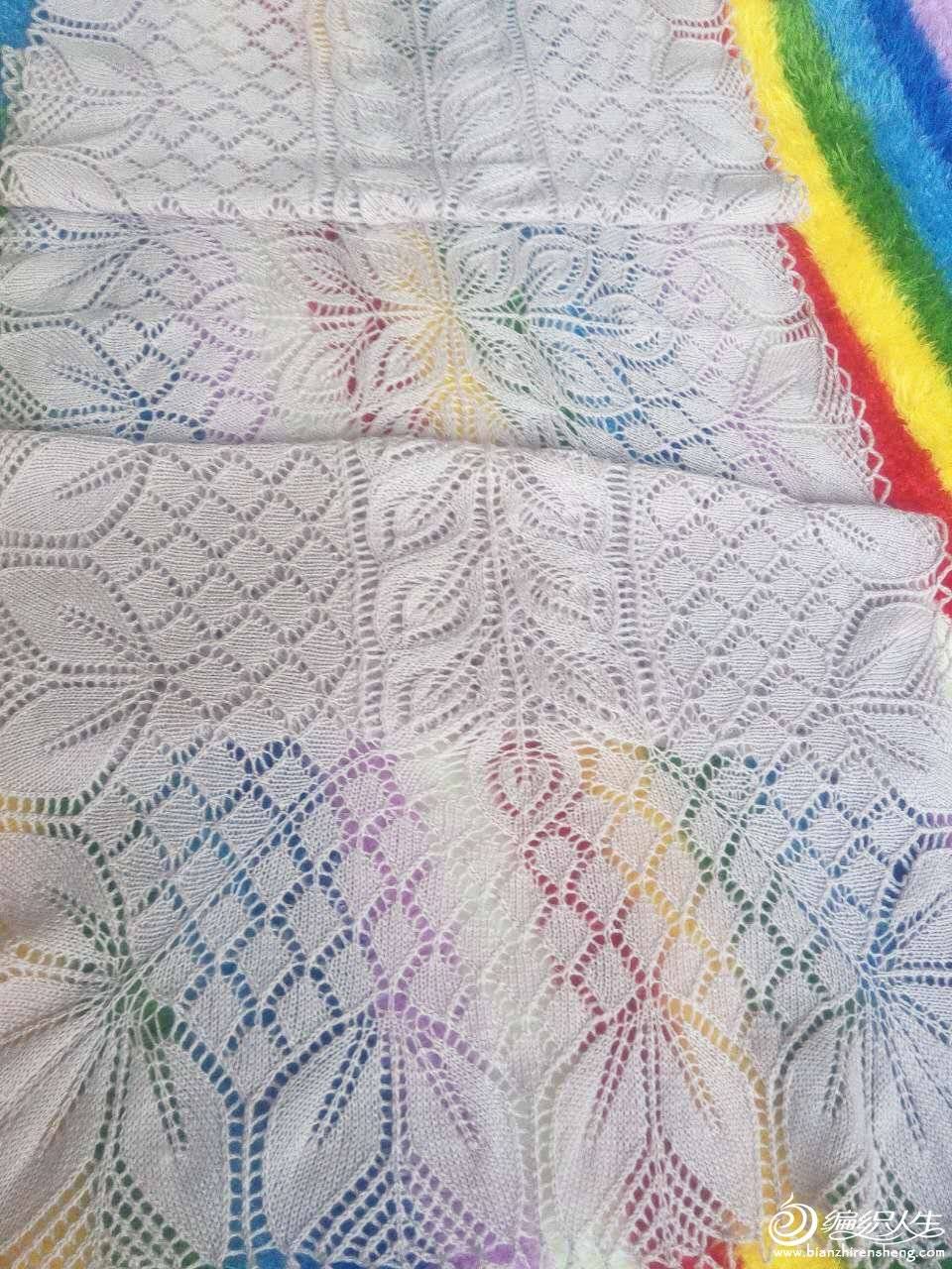 917161984719259068.jpg