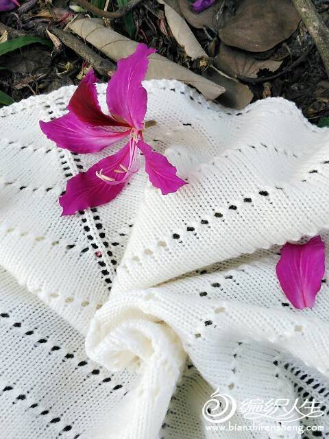 010653rgdd26tko8n2htd7.jpg