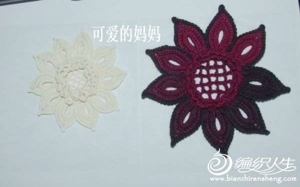 DSCF5405.JPG