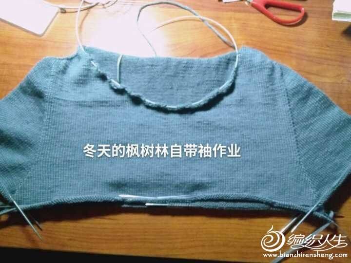 QQͼƬ20170307160242.jpg