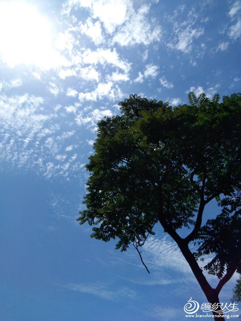 110909cmmc8jx3uzgcnxcx.jpg