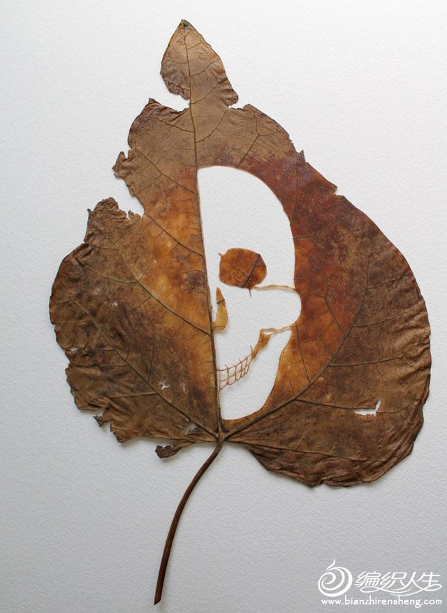 extraordinary-leaf-artwork-by-lorenzo-duran-6.jpg