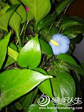 IMG_20171022_180127.jpg