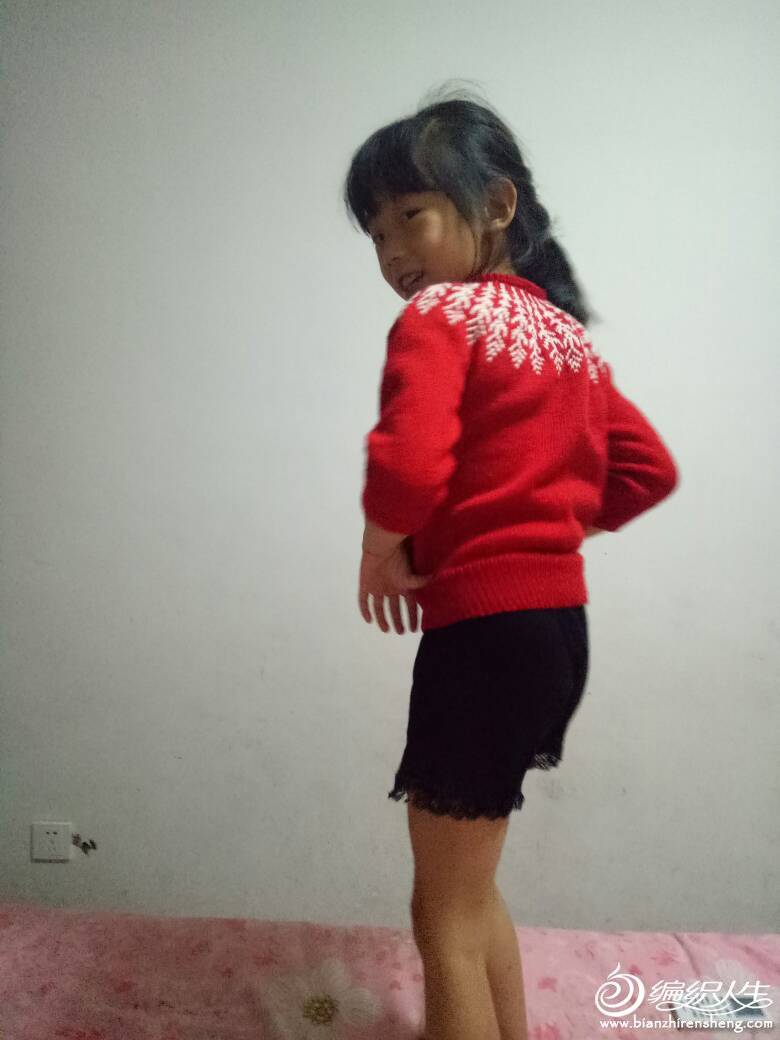 220857li41pigit4ki1plt.jpg
