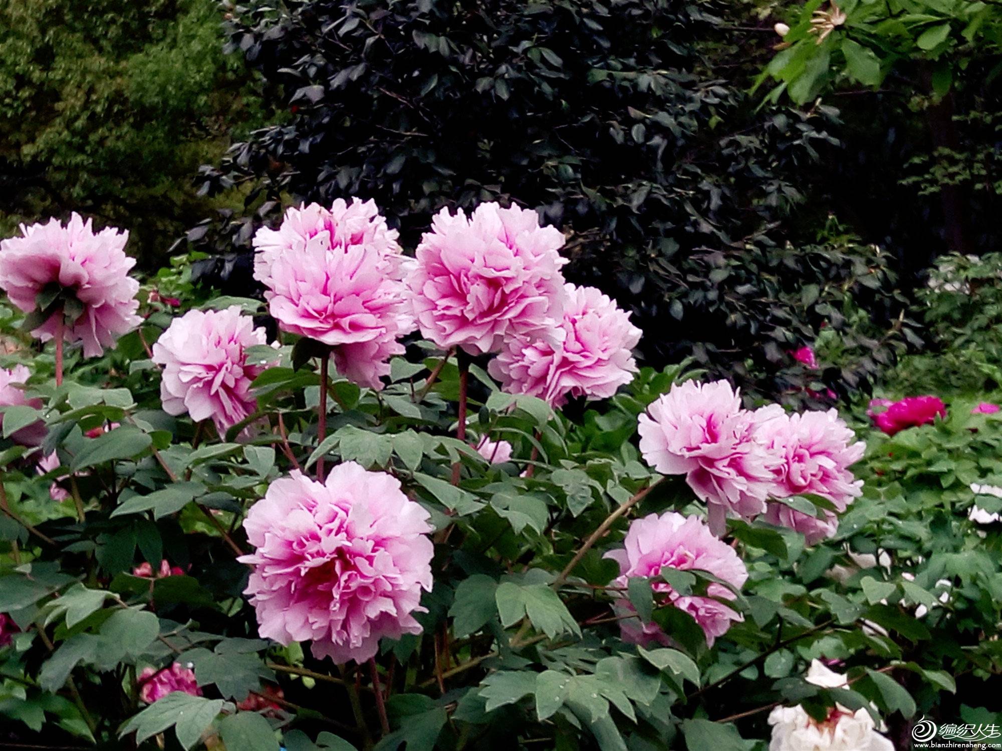 P90411-142815__.jpg