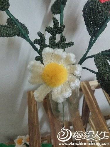 20190414_235012_HDR.jpg