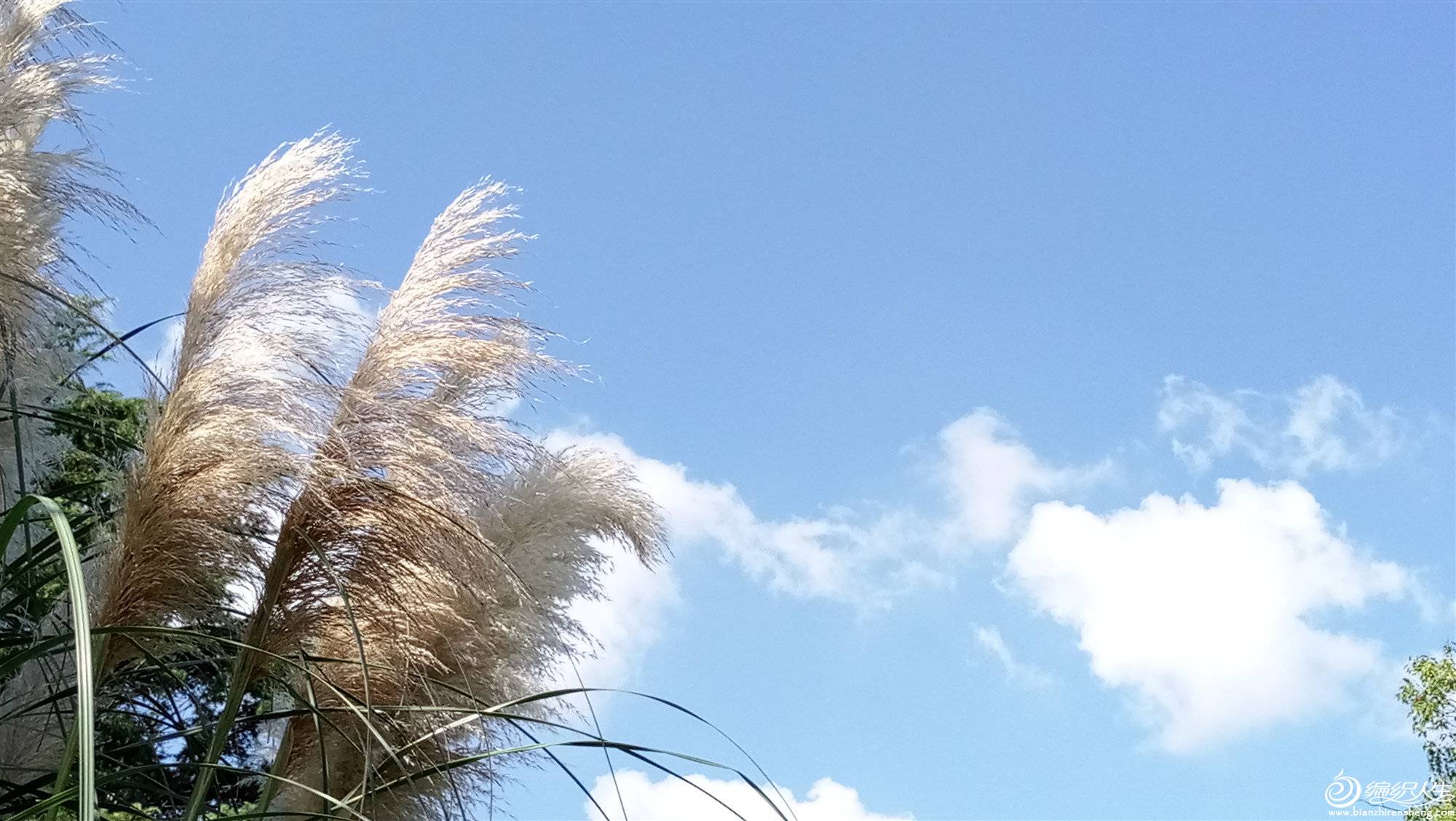 P90923-101025_.jpg