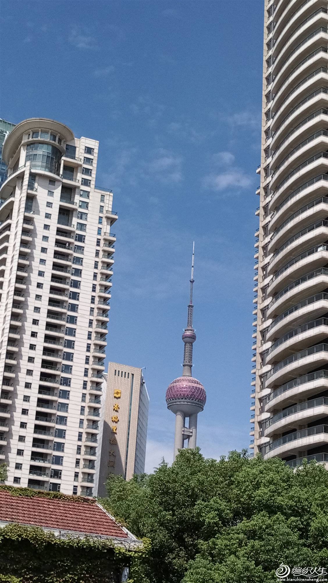 P90924-115359_.jpg
