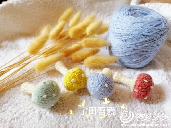 毛线编织蘑菇