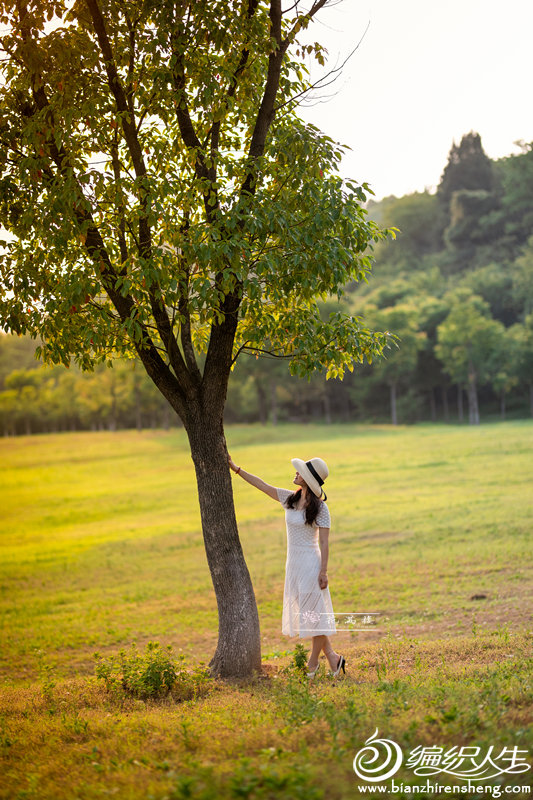 女士钩针裙装