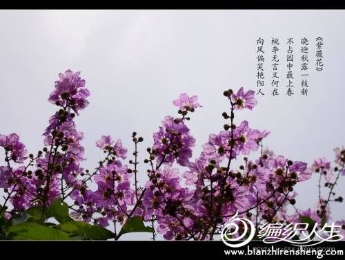 u=3894136707,1704952043&amp;fm=26&amp;gp=0.jpg