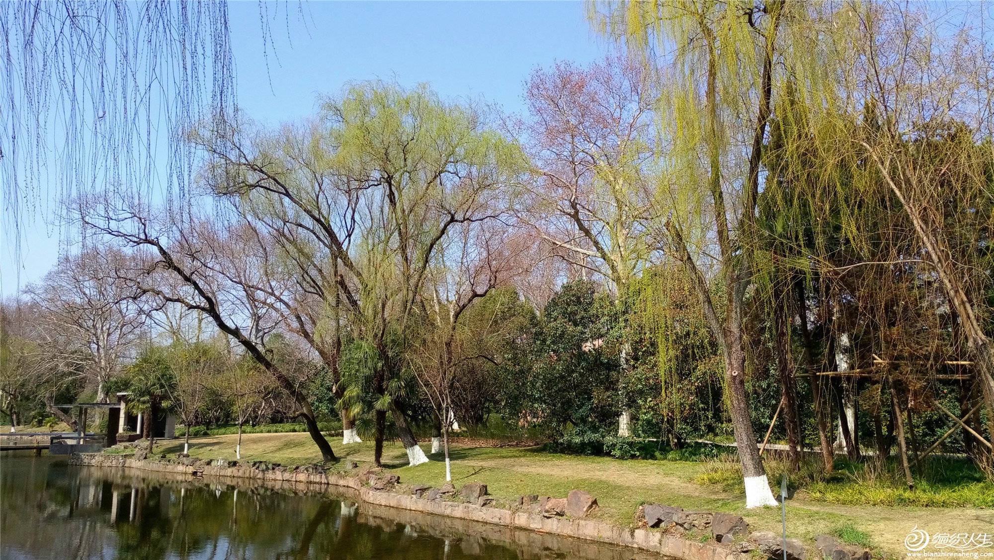P10224-114337_.jpg
