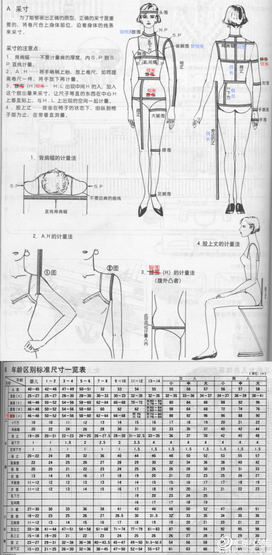 毛衣制作量体方法及各部位尺寸数据参考 教程 编织人生