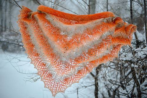 DSC_0211_medium.jpg
