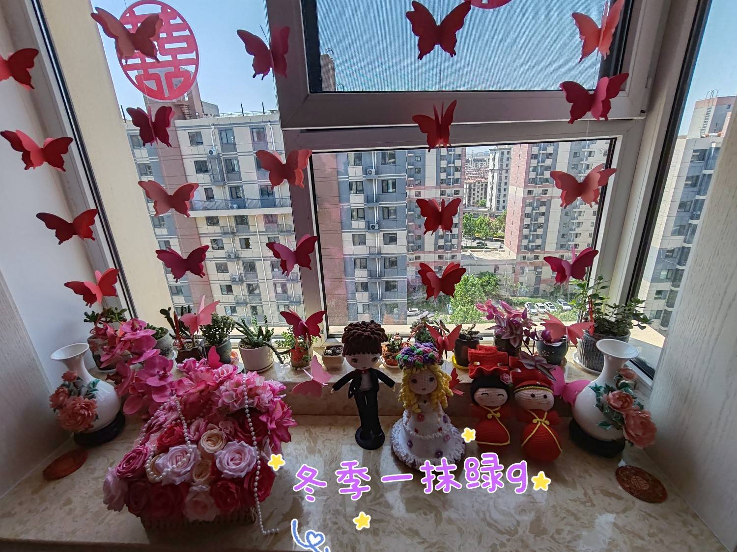 冬季一抹绿g~压床囍娃