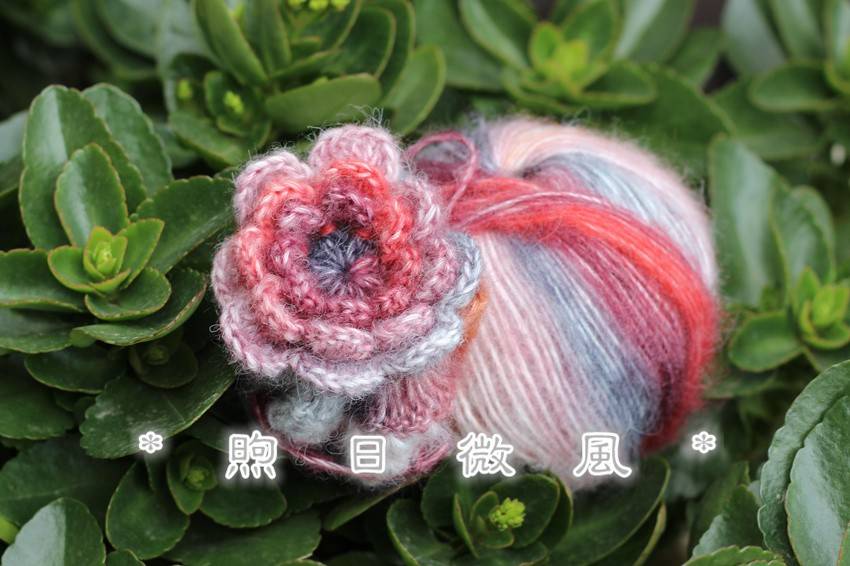 *煦日微风*乙巳小雪的小欢喜。花朵小围脖