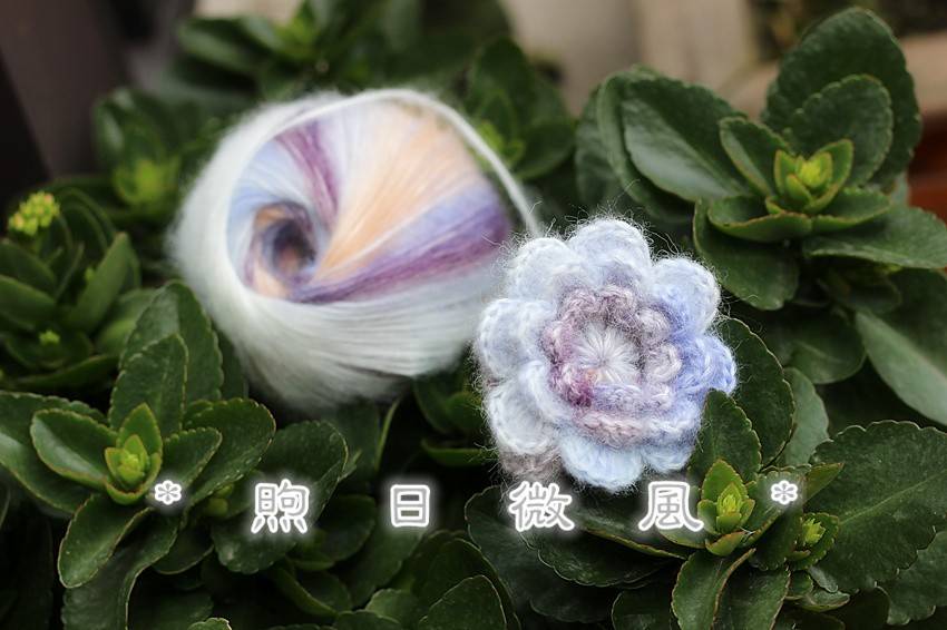 *煦日微风*乙巳小雪的小欢喜。花朵小围脖