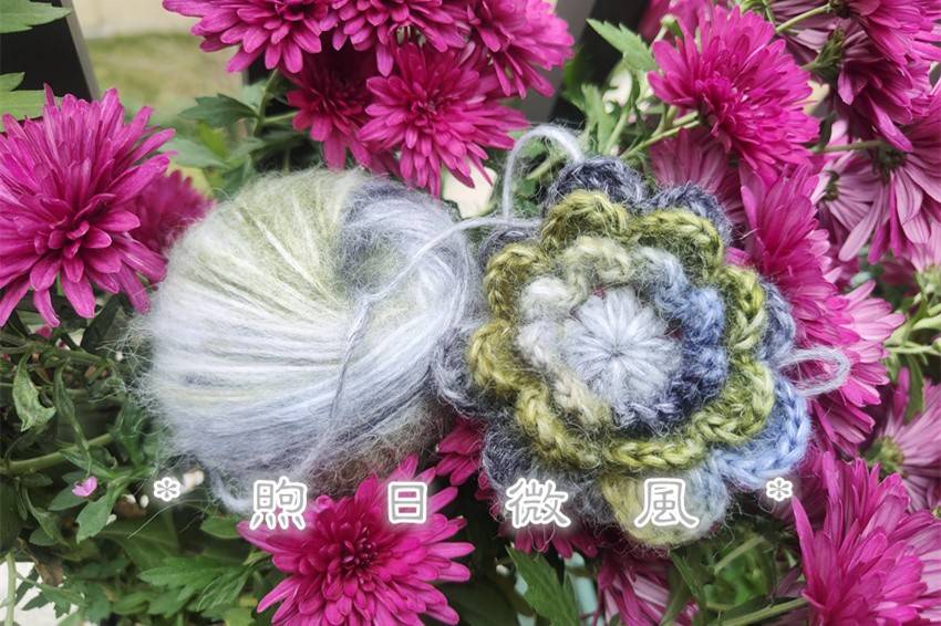 *煦日微风*乙巳小雪的小欢喜。花朵小围脖