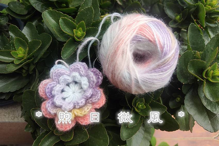 *煦日微风*乙巳小雪的小欢喜。花朵小围脖