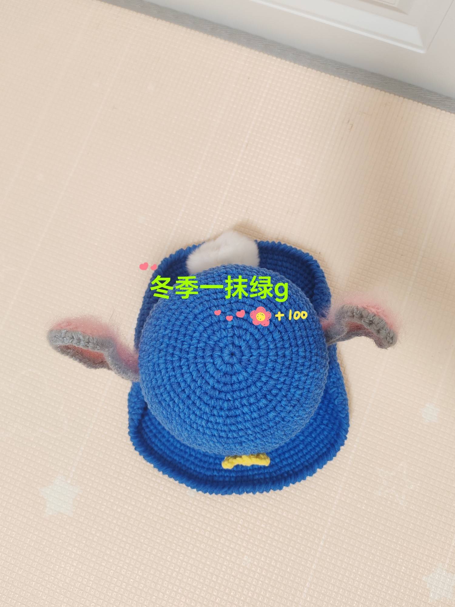 冬季一抹绿g~疯狂动物城之兔警官帽