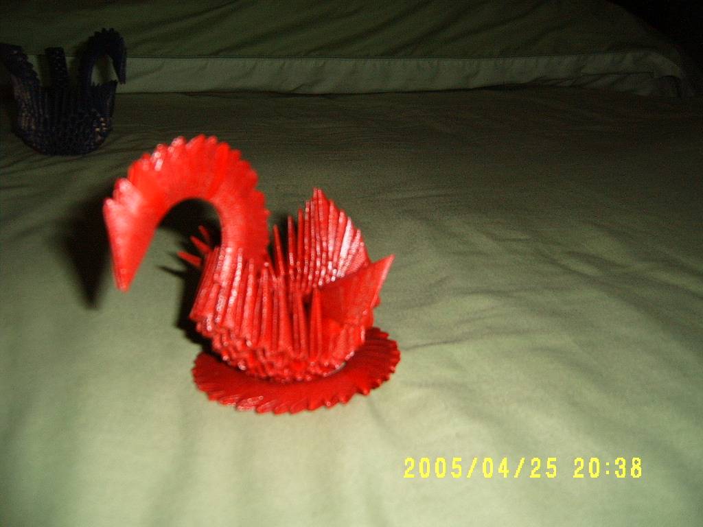 S4300011.JPG