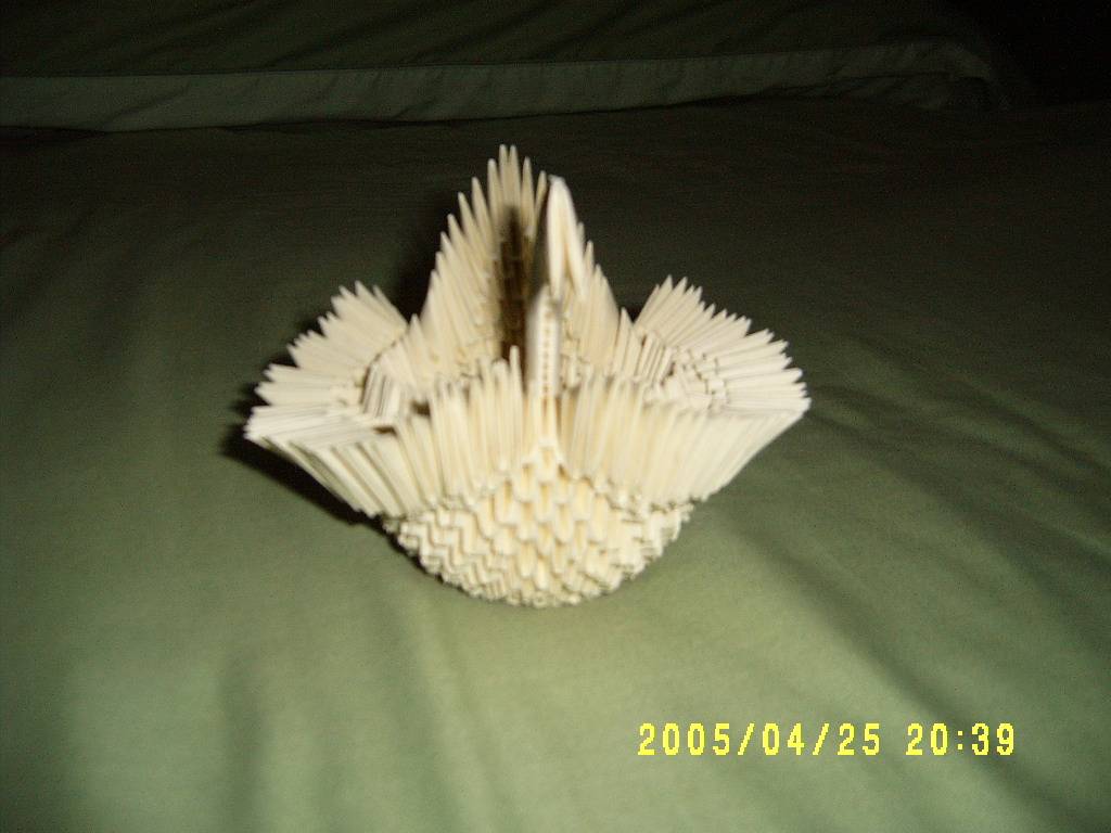 S4300013.JPG