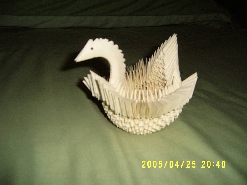 S4300014.JPG