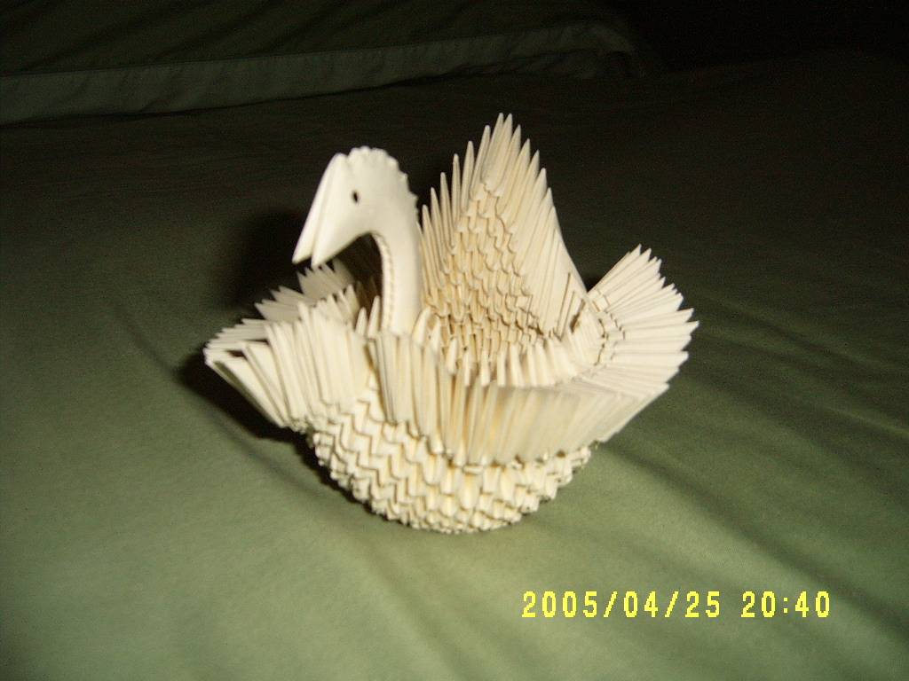 S4300015.JPG